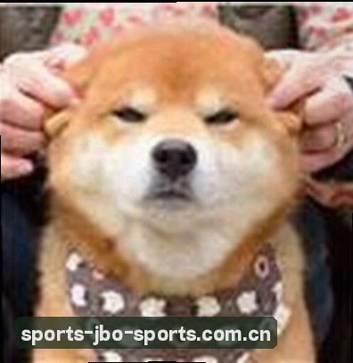 刘娜
